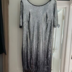 Elegant Silver Sequin Dress